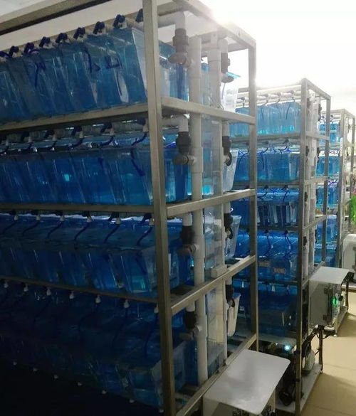化妆品工厂又多了一个 硬通货